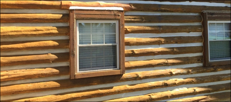 Log Home Whole Log Replacement  Camden County,  North Carolina