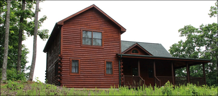 Professional Log Home Borate Application  Camden County,  North Carolina